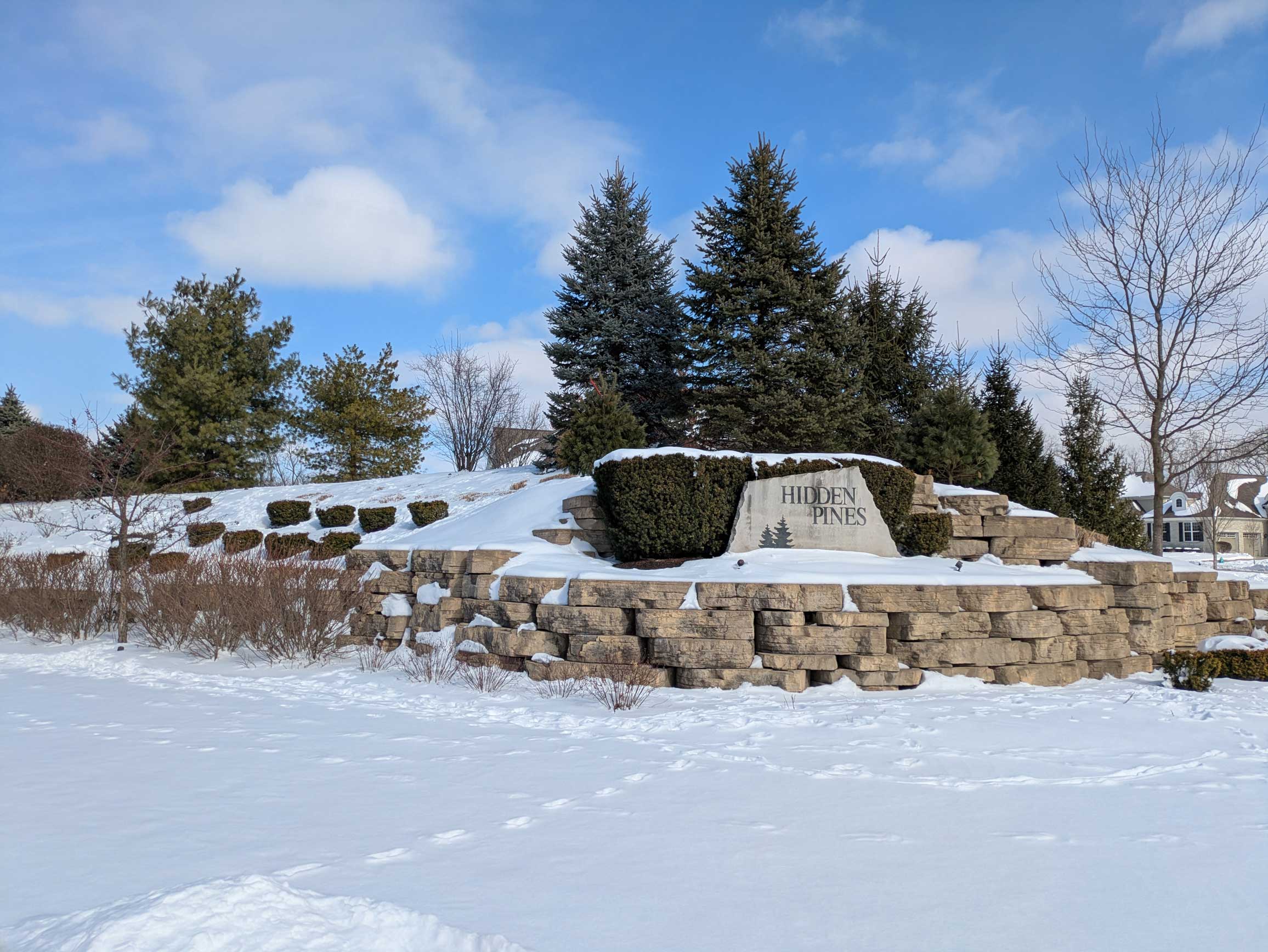 Hidden Pines