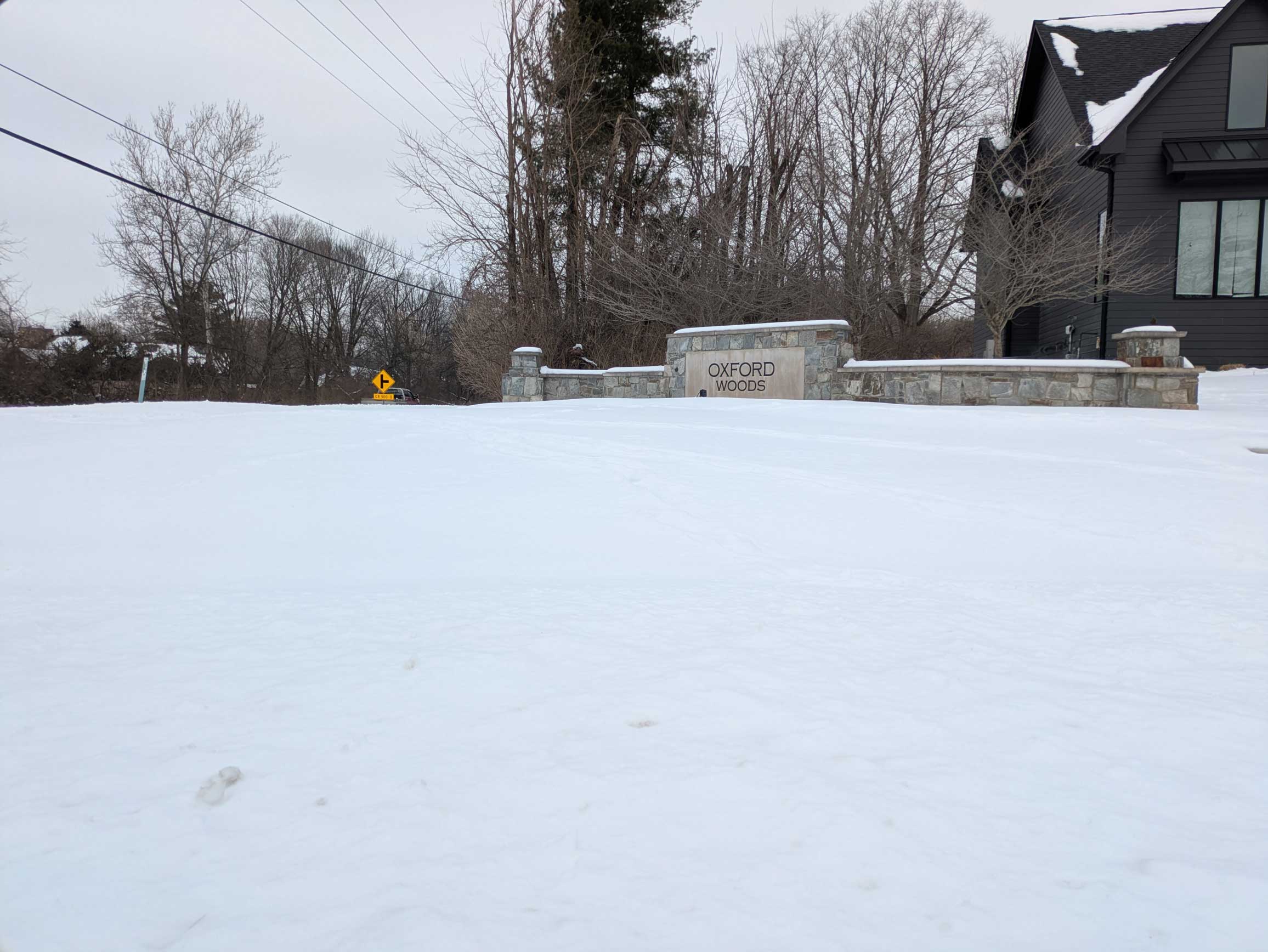 Oxford Woods
